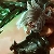 Riven Riven profile image