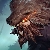 Udyr Udyr profile image