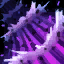 SyndraE